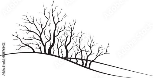Black bare tree branches on white background vector