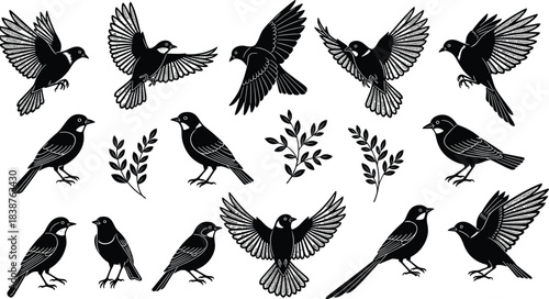 Set of detailed black bird silhouettes flying and perched with leaves, vector illustration collection isolated on white, for nature logo design.