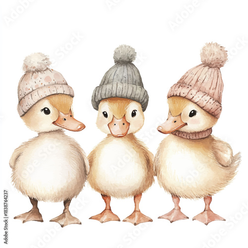 Three adorable ducklings wearing knitted hats and scarves.