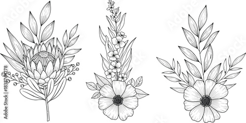 Black and White Botanical Floral Arrangements Vector with Leaves, Protea, Petals, Nature Line Art for Tattoo, Design, and Decoration