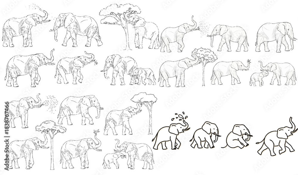 Fototapeta premium Elephant Illustration Line Art: An engaging illustration of African elephants in their natural habitat, meticulously drawn with fine lines, celebrating these majestic animals and their environment.