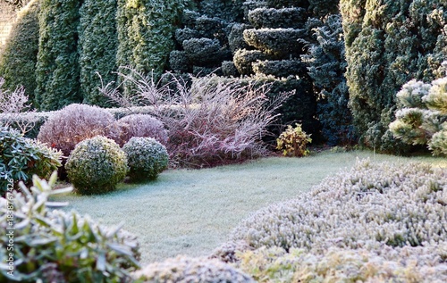 Hoarfrost covering a beautifully designed garden, plants, shrubs, and green lawn in a cold winter landscape