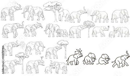 Elephant Illustration Line Art: An engaging illustration of African elephants in their natural habitat, meticulously drawn with fine lines, celebrating these majestic animals and their environment.