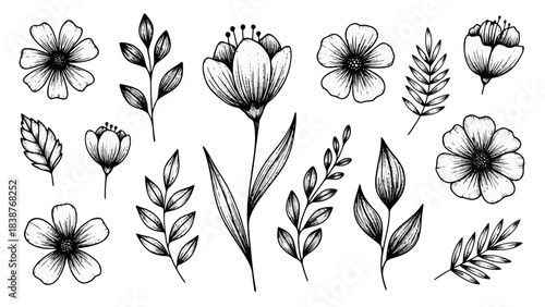 Hand-Drawn Botanical Elements: Flowers and Leaves in Sketchy Art Style