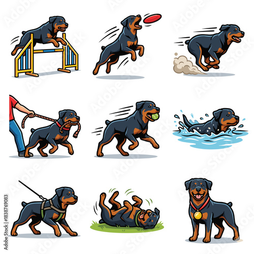 Rottweiler Dog Agility Vector Set. Active Pet Running, Jumping, Swimming and Catching Frisbee. Training and Exercise Illustration Collection.