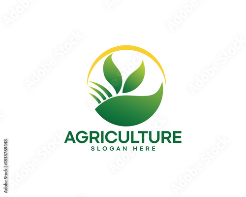 three leaves and abstract agriculture field logo
