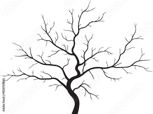 Black silhouette of a bare tree with intricate branches