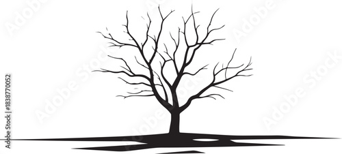 Black silhouette of a bare tree with roots and shadow