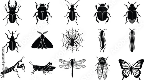 Large Collection of Detailed Black and White Insect Silhouettes, Including Beetles, Spiders, Moths, and Other Bugs, for Education, Decoration, and Nature Design Elements.