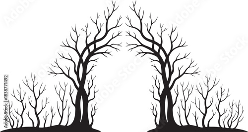 Black silhouette of bare trees forming an archway white