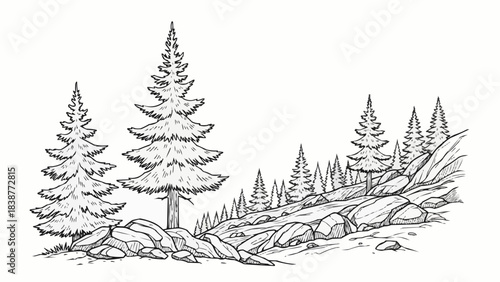 Monochrome Forest Landscape with Rocks and Evergreen Trees.
