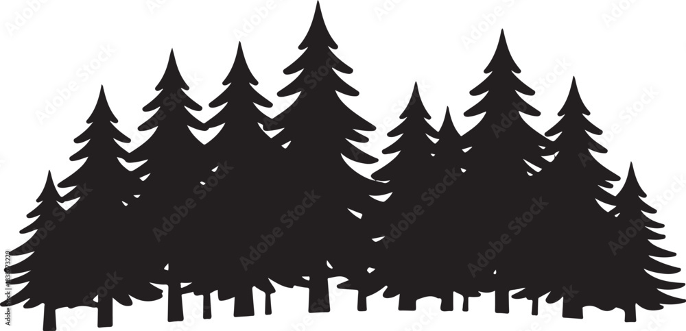 Obraz premium Silhouette of a dense forest of pine trees evergreen