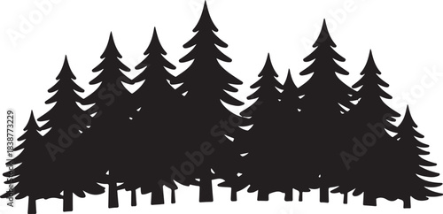 Silhouette of a dense forest of pine trees evergreen