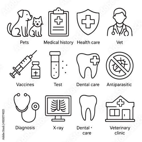 Veterinary icon set vector