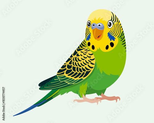 A cheerful bright green budgerigar small parrot, commonly known as a budgie or parakeet, standing isolated on a white background, featuring a vibrant yellow head and distinct black spots; a detailed f