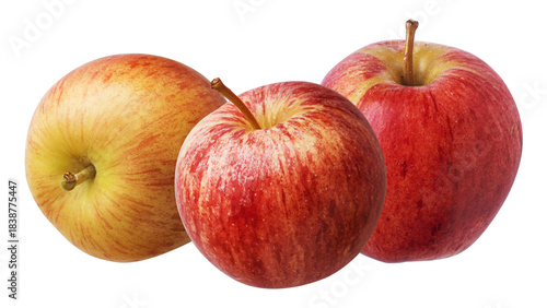 three perfectly ripe fuji apples showcasing their distinctive red and yellow striped skin, fresh and healthy for consumption.