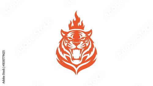 Aggressive tiger with flames on a white background