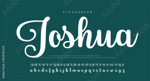 Signature script lettering font 