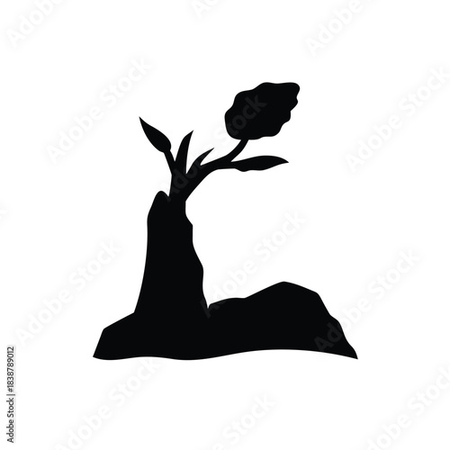 Silhouette Of Tree Growing From Rock