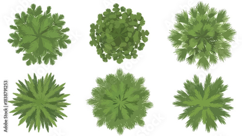Diverse overhead arboreal representations for environmental planning and creative graphic projects