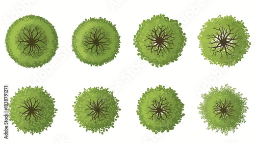 Collection of diverse green tree illustrations viewed from directly above for landscape planning