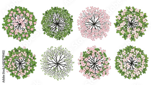 Assortment of garden trees and flowering shrubs depicted in versatile top-down perspective for