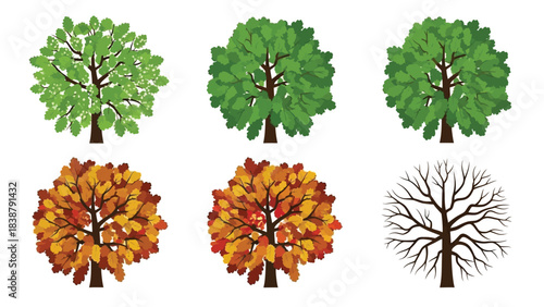 Vibrant collection of seasonal deciduous trees illustrating the changing life cycle through