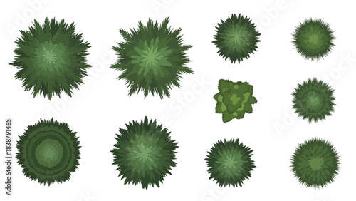 Architectural top-down green foliage plants set for precise landscape rendering and virtual forest