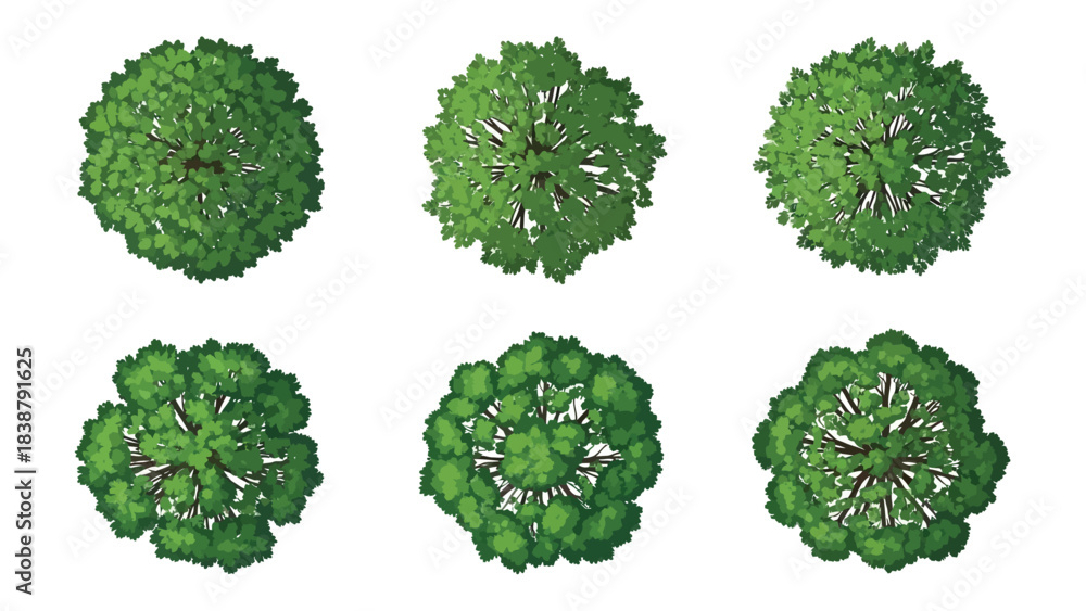 Obraz premium Elevated perspective collection of distinct verdant tree foliage designs for environmental graphics
