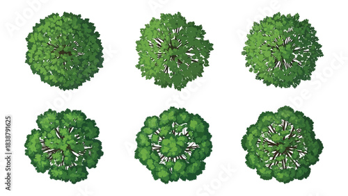 Elevated perspective collection of distinct verdant tree foliage designs for environmental graphics