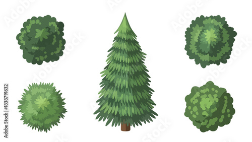 Aesthetic collection of stylized evergreen conifers and assorted garden shrubs presented in