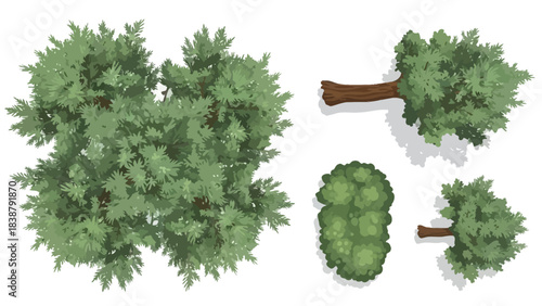 Overhead botanical illustrations of diverse green trees and shrubs for landscape planning elements