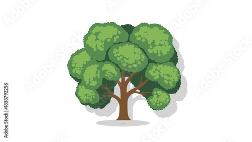 Vibrant green foliage tree with sturdy brown trunk modern flat design graphic element on clean