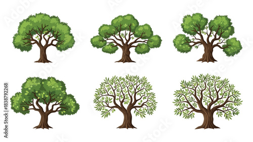 Diverse collection of green deciduous trees with varied foliage and trunk designs set against a