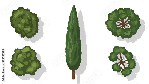 A vibrant vector assortment of diverse tree species viewed from an overhead perspective, perfect