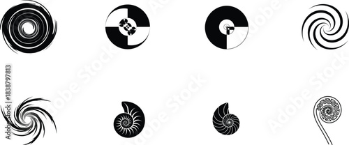 Abstract black and white spiral designs resembling nautilus shells and galaxies