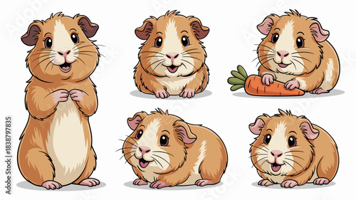 Cute and fluffy brown and white guinea pig cartoon illustration set displaying various poses including standing, sitting, and happily eating a fresh carrot, ideal vector graphic for veterinary, pet ca