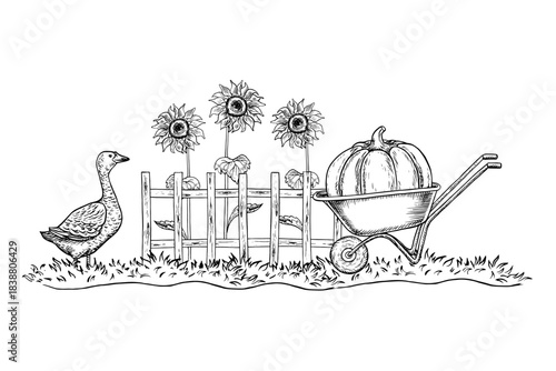 A village courtyard. Handmade black and white vector graphics. A large pumpkin in a wheelbarrow, a wooden fence, a goose, and sunflowers. For postcards, labels, and packaging. For banners, posters.