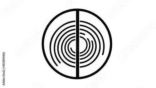 Abstract circular design with swirling lines divided by a central vertical line.