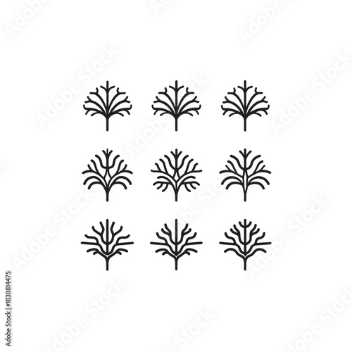 First FlashRoot line art ignites creative visual sparks