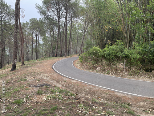 a beautiful turn road photo click by still