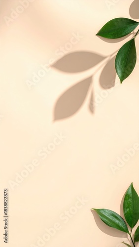 Green leaves on a beige background