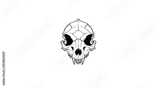 Black and white illustration of a skull with a spider web design on a plain white