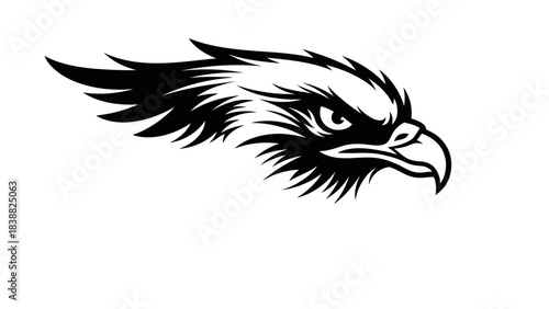 A black and white illustration of an eagle's head in profile with a strong gaze.