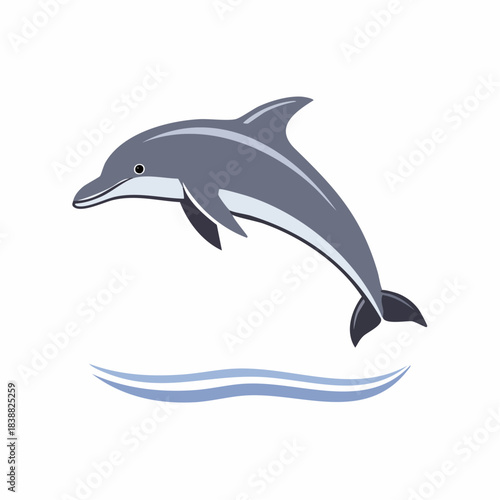 Jumping Gray Dolphin with Blue Water Waves Illustration.