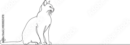 Elegant feline sketch depicts a seated cat in a minimalist black and white line drawing style