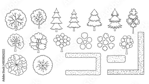 vector illustration, top view plan, black outline, white background, architectural plant symbol, minimal detail, clean lines, no grayscale