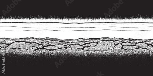 Abstract textured background with organic cellular structure and lines.