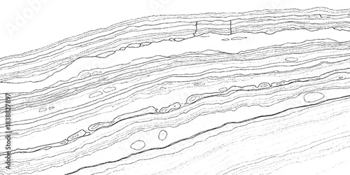 Abstract Topographic Map Contour Lines on White Background.