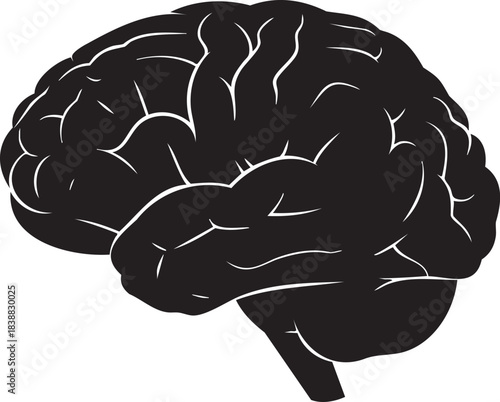 Black silhouette of a human brain with white gyri and sulci vector